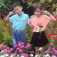 truongchihai2012@gmail.com