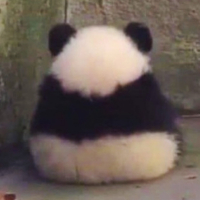 Đoàn Thị Huyền Trâm