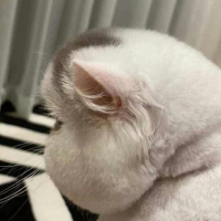 Nguyễn Thanh Trọng