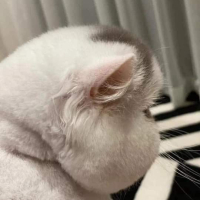 Phan Thị Ngọc Ngân