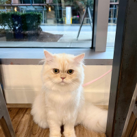 Thạch Na Ni Sa (10A3)