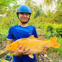 Nguyễn Thanh Lợi