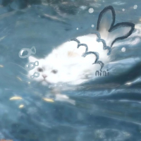 Nguyễn Ngọc Bích 