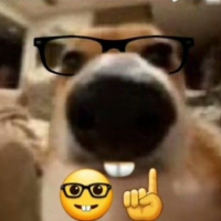 Nguyễn Nhật Quang